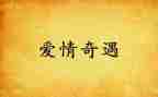 乌?G丢的奇遇读后感精选7篇