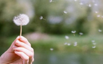 “网”上人生作文精选6篇