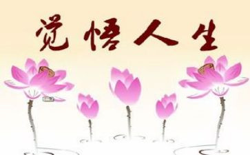 关于人生心得体会5篇