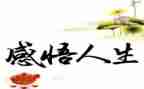 读人生经的读后感500字6篇