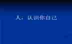 数学活动认识456教案参考8篇