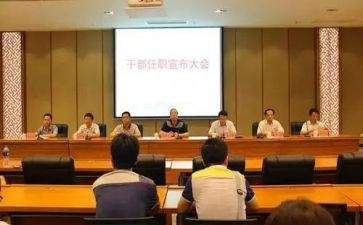 任职表个人总结范文7篇