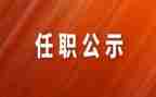 幼儿园副园长任职心得体会6篇