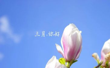 三月小班工作总结精选6篇