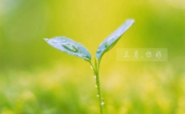 三月记读后感7篇
