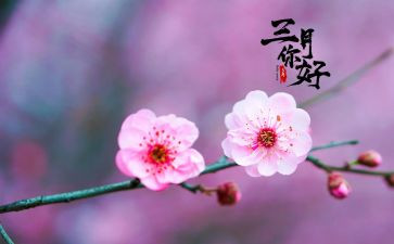 三月份月工作总结通用8篇