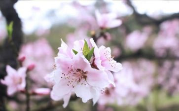 2024年三月工作总结精选6篇