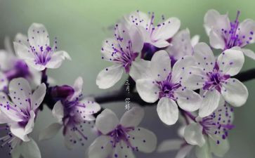 三月份月工作总结精选8篇