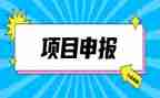 高级教师申报述职报告8篇