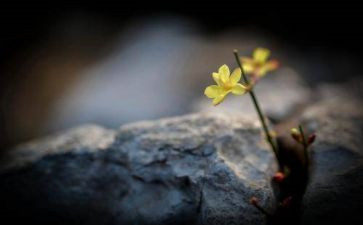 生命安全演讲稿最新7篇