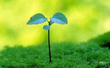 珍爱生命幼儿教案5篇