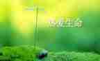 珍爱生命作文优秀7篇