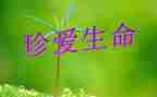 珍爱生命作文参考7篇