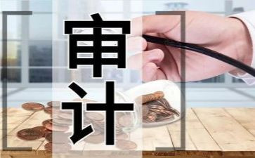 审计2024工作总结精选7篇