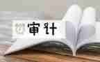 审计年终工作总结优秀8篇