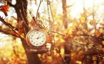 二十年后欧·亨利读后感7篇