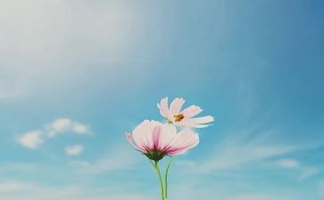 十年后作文优秀6篇