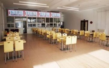 食堂报告调查报告模板8篇