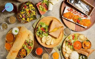 幼儿园食物的教案6篇