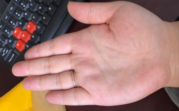 小手掌教案通用6篇