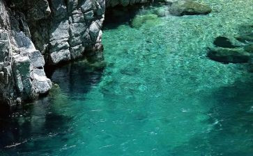 小班健康《水》教案最新8篇