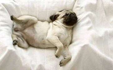 大班睡眠与健康教案8篇