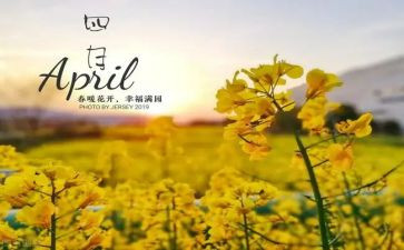 四月八教案5篇