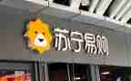 苏宁年度工作总结5篇