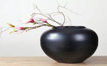 《陶罐和铁罐》的读后感6篇