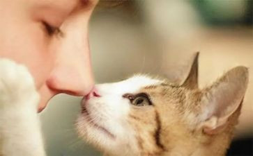 一个特别的人作文8篇