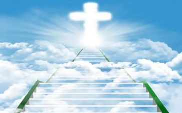 天堂的张观后感推荐5篇