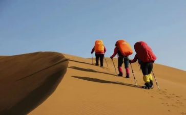 携阳光同行作文7篇