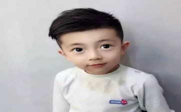 猫王子读后感100字6篇