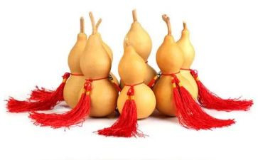 糖葫芦式的作文6篇