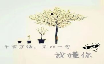 慢慢的我懂了作文600字5篇