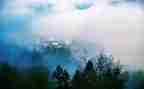 雾作文300写景作文7篇