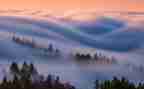 雾作文300写景作文最新6篇