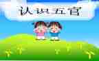 小班五官歌教案模板5篇