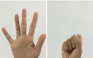 蒙氏五指抓教案6篇