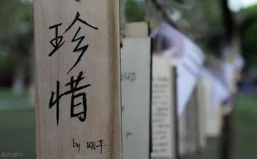 关于珍惜演讲稿优秀7篇