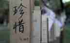 关于珍惜演讲稿优秀7篇