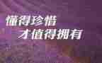 珍惜所拥有的作文800字作文6篇