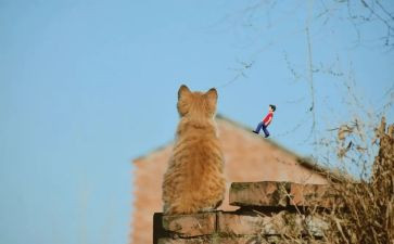 遐想类作文优质6篇