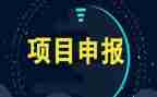 项目个人上半年工作总结5篇