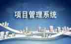 项目课心得体会优质8篇