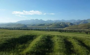 想念为话题作文8篇