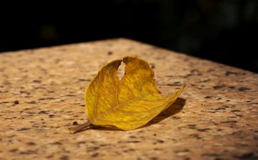 《想念》作文通用6篇