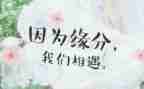 2024我与相遇作文5篇