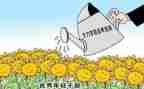 从乡镇干部述职报告8篇