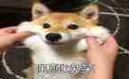 微笑作文优质6篇